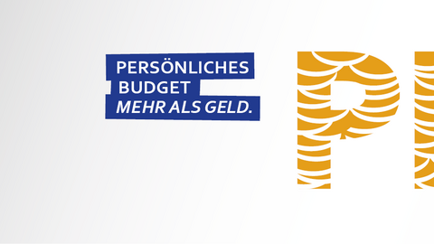 Logo Persönliches Budget-Mehr als Geld