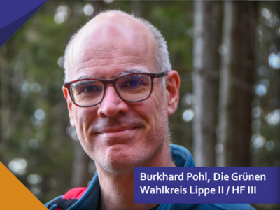 Burkhard Pohl, Die Grünen im Wahlkreis Lippe 2, Herford 3