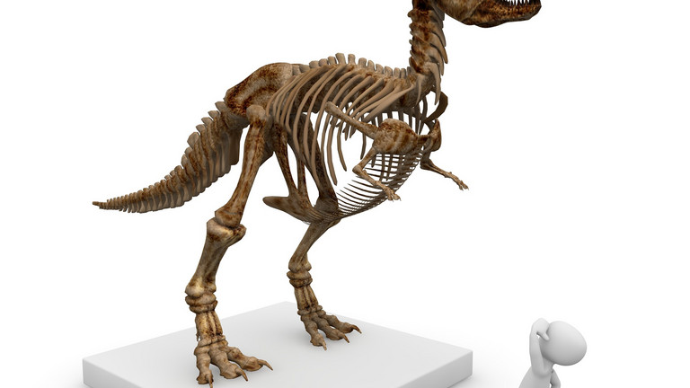 Dinosauerier-Skelett