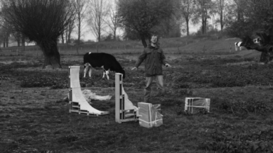 Schwarzweiß Fotografie eines Mannes im Regenparker, der gerade in Begriff ist etwas aufzubauen. Er steht auf einer Wiese.