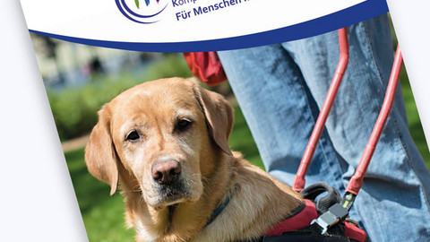 Ein Bild des Faltblattes. Ein Blindenführhund schaut direkt in die Kamera.