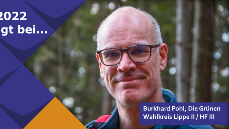 Burkhard Pohl, Die Grünen im Wahlkreis Lippe 2, Herford 3